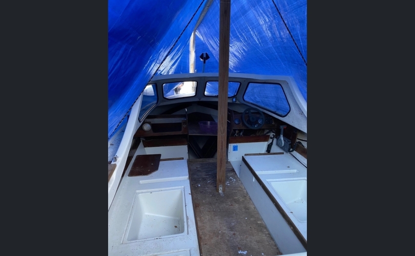 Yamarin 560Ht-kuva-5